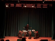 Спектакль школьного театра "Чайка по имени Джонатан Ливингстон".