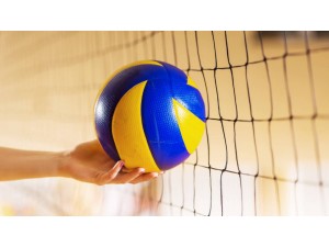 Турнир по волейболу.