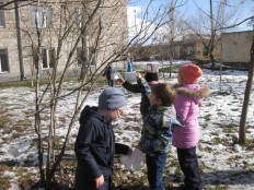 Кормушки для птиц своими руками.