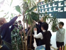 Уход за комнатными растениями.