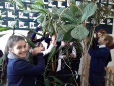 Уход за комнатными растениями.