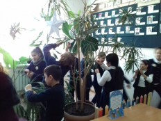 Уход за комнатными растениями.