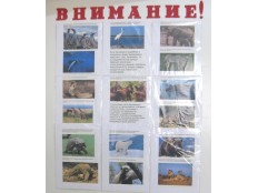 10 исчезающих видов животных