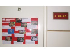 10 исчезающих видов животных