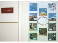 10 исчезающих видов животных