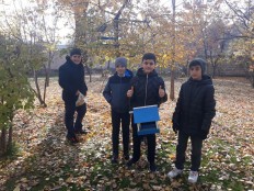 Кормушки для птиц