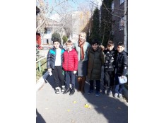 Кормушки для птиц