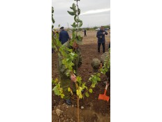 Торжественная закладка капсулы