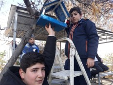 Акция "Накормим птиц зимой"