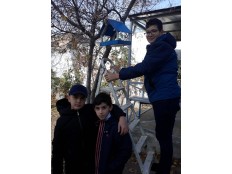 Акция "Накормим птиц зимой"