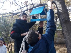 Акция "Накормим птиц зимой"