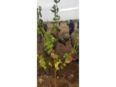 Торжественная закладка капсулы