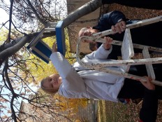 Акция "Накормим птиц зимой"