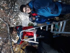 Акция "Накормим птиц зимой"