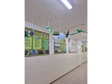 НА КРЫЛЬЯХ РОДИНЫ