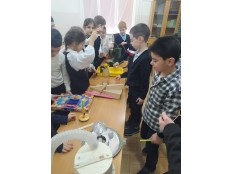 НЕДЕЛЯ ЕСТЕСТВОЗНАНИЯ И ДНИ НАУКИ