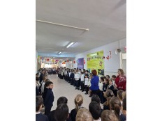 ДШО  "ЦВЕТИК-СЕМИЦВЕТИК". ИТОГИ ПОЛУГОДОВОЙ РАБОТЫ