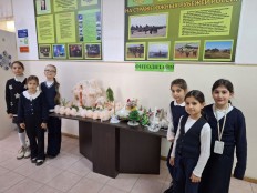 НОВОГОДНИЕ ЭКСПОНАТЫ