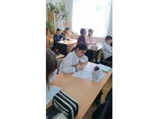 "КИТАЙСКОЕ ЯБЛОКО" ИЛИ "МАЛЕНЬКАЯ СОБАКА"?