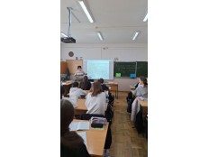 "КИТАЙСКОЕ ЯБЛОКО" ИЛИ "МАЛЕНЬКАЯ СОБАКА"?
